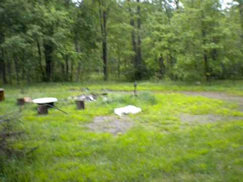 Real Ghost? captured outside Bradford PA in the forrest (Lewis Run, our backyard)
