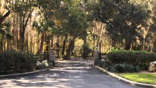 11300 Lane Park Rd, Tavares,