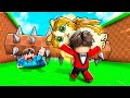 روبلوكس هربنا من الشوك انا وسعدون بسيرفر خاص ! Escape Logs For Brainrots