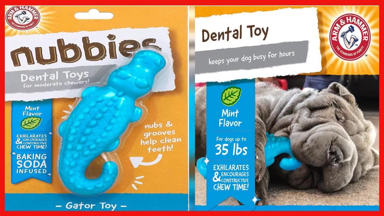 Arm & Hammer for Pets Nubbies Dental Toys   Chew Toy for Dogs, Nubbies Dog Dental Toys