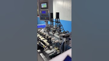 What Happens Inside a Bearing Factory? Auto inspection of bearings.