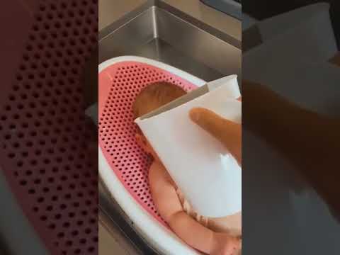 ماما جابت بيبي جنى مقداد  ترند طيور الجنة