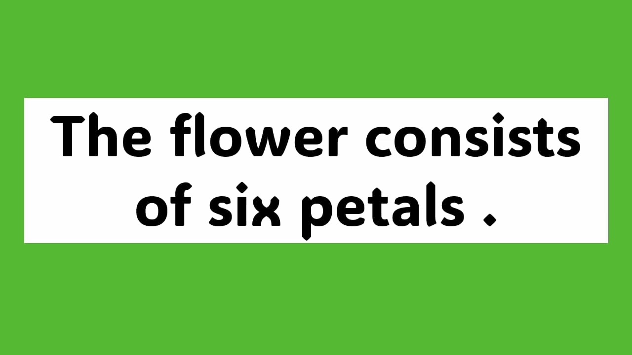 10 Lines on Lily/Few Lines on Lily/Short essay on Lily/Paragraph on Lily/Lily @knowmore2736