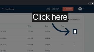 How to use the backups section within the ConvesioHost platform