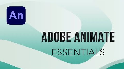 Free Adobe Animate Course for Beginners Complete Animation Tutorial The Random Capital