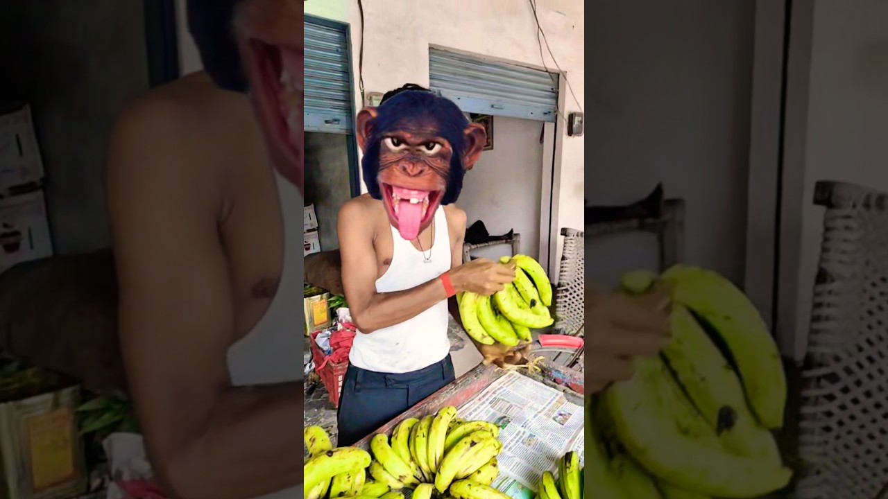 🤠🤠बंदर मामा पहन 🤠🤠 पजामा दावत खाने आए 🤠🤠🤠🥰🥰🥰😛😛😛🤪🤪🤪🍌🍌🍌🍌🍌👈👈👈