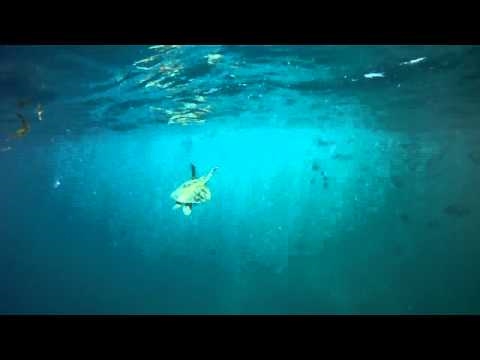 Girls swimming with Turtle Maldives