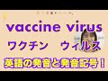 『vaccine ワクチン』『virus ウィルス』の英語発音！カタカナと全然違う！発音記号と口の形とカタカナ英語(No.395)