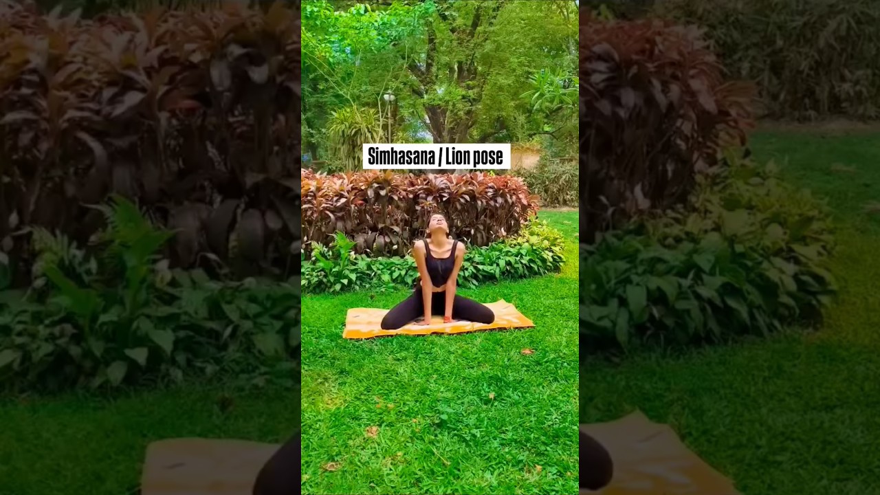 Simhasana / lion pose. 