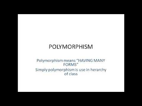 Demo of First Video! Polymorphism.