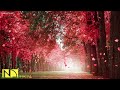 10 hour beautiful piano music for studying and sleeping bgm best sad  emotional music