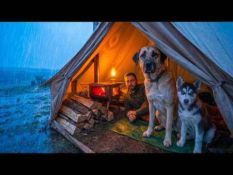 Caught in a Rainstorm With My Dog! | 2 Days Rain Camping in the Forest | Heavy Rain Survival