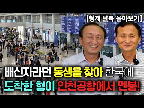 [형제 탈북 몰아보기] 배신자라던 동생을 찾아 한국에 온 형이 인천공항에서 멘붕!