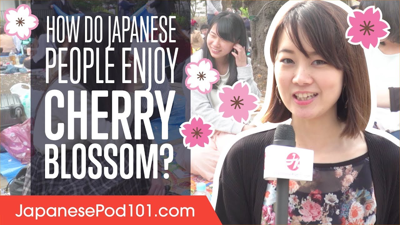 ⁣How Do Japanese People Enjoy Cherry Blossom? (Interview)