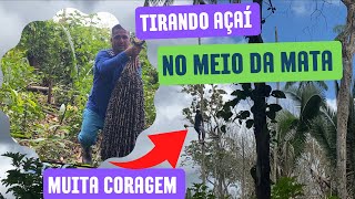 Tirando Açaí no meio da mata !!