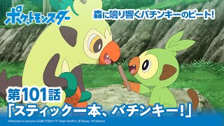 【公式】アニメ「ポケットモンスター」第101話「スティック一本、バチンキー！」（アニポケセレクション）