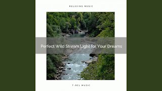 Perfect Flowing Shimmering Stream Bright