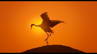 Coldplay - Amazing Day (slowed)