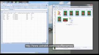 Preparing your data file