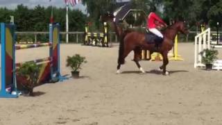 5Yo Zambesi X Phin Phin