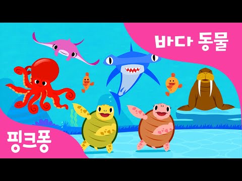 바다 동물 따라 해봐요 | 바다 동물 | 동물동요 | 핑크퐁! 인기동요
