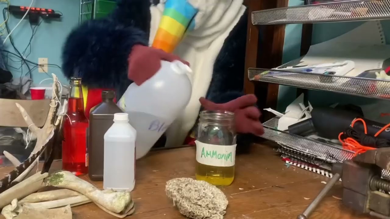 Mouse infestation 2 Henry