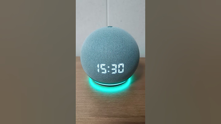 ALEXA ECHO , E SUAS PIADAS 🫣