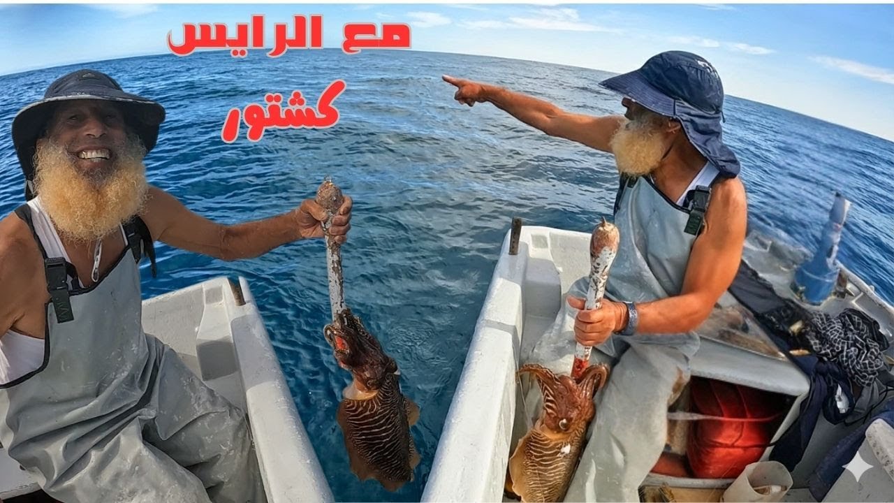 (Кальмары, плюющиеся водой) и корбина с живой наживкой! Прекрасная атмосфера с рисом Каштор.