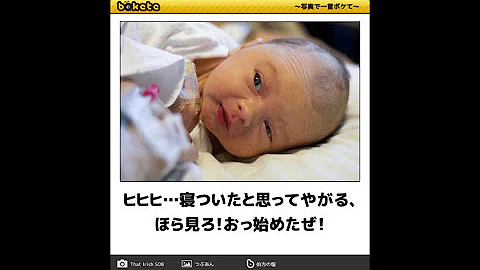 تحميل 下ネタおもしろ画像 Mp4 Mp3