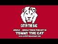 Jungle Jungle Tekno Vinyl Only Podcast 10 Tommy The Cat mp3