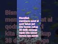 bismillah membaca surat Al qodr tahan jari kita kawan cukup 51 detik amin #ngajimerdu #ngajionline