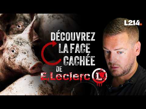 The Hidden Side of E.Leclerc
