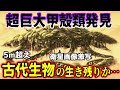 【ゆっくり解説】世界が震えた…超巨大甲殻類の怪物を目撃＆撮影に成功!?…5m超えのワローア湖の怪物は古代生物の生き残りか!?【古代生物生存】