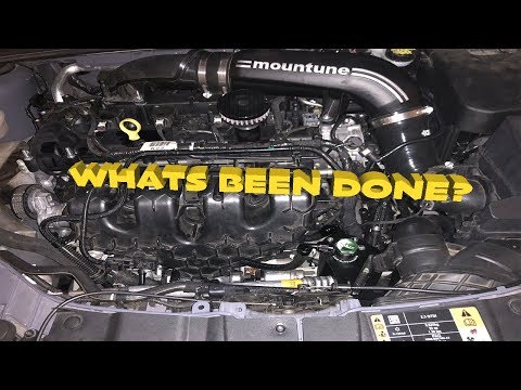 Radium Engineering Catch Can Install - Ford Focus RS