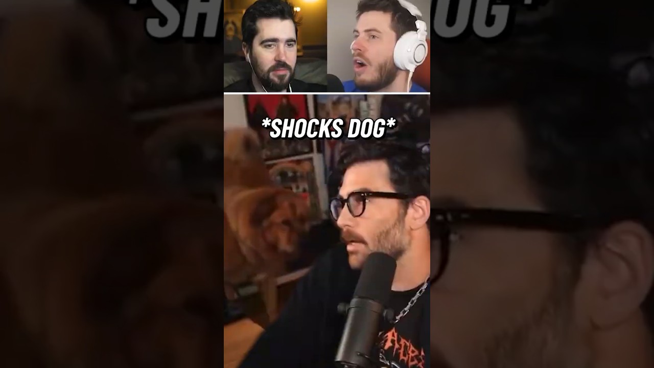 TERRORISER SHOCKED BY HASAN’S DOG TREATMENT! ⚡️😳