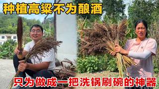 Why country folk grow sorghum: it's not just for making liquor, it's also a must-have tool for cl...