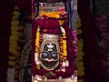 Jai shree mahakal 🙏🌼🏵️🏵️🙏#mahadev #mahakal #radheradhe #ujjain