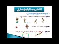 التدريب البليومتري 