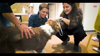 Ali Yeşilırmak, Maggie Ile Royal Canin Ofisini Ziyaret Ediyor