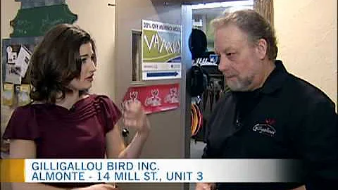 Gilligallou Bird 1