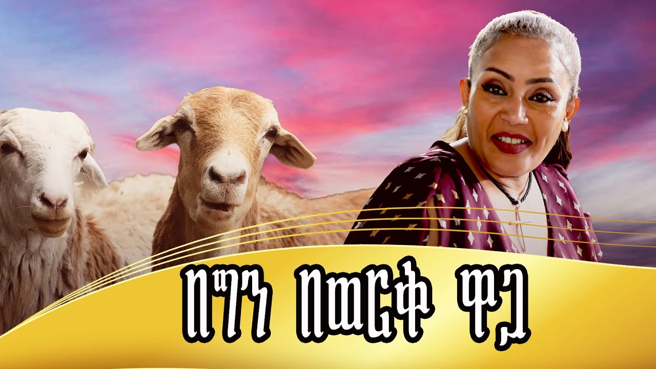 በግ ከመበላትም አልፎ ሌላ ታሪክ ውስጥ ገብቷል.......#habesha #tigistgirma #tigist