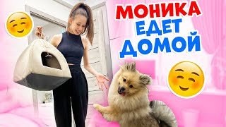 видео: НЕ Выдержали😱 Забираем Монику ДОМОЙ👉 Нагостилась у БАБУШКИ картинка: НЕ Выдержали😱 Забираем Монику ДОМОЙ👉 Нагостилась у БАБУШКИ