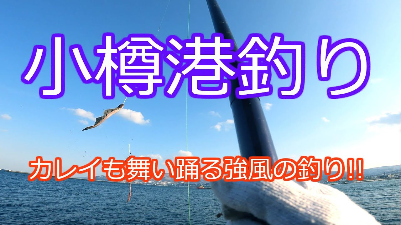 小樽港で強風の中カレイさん釣りを楽しみました 強風でもアタリは結構分かりますね 北海道石狩湾 小樽釣り カレイ釣り 22 3 27 Youtube
