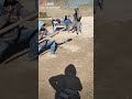مراجلنه تتمدد والضهر بينه ينشد