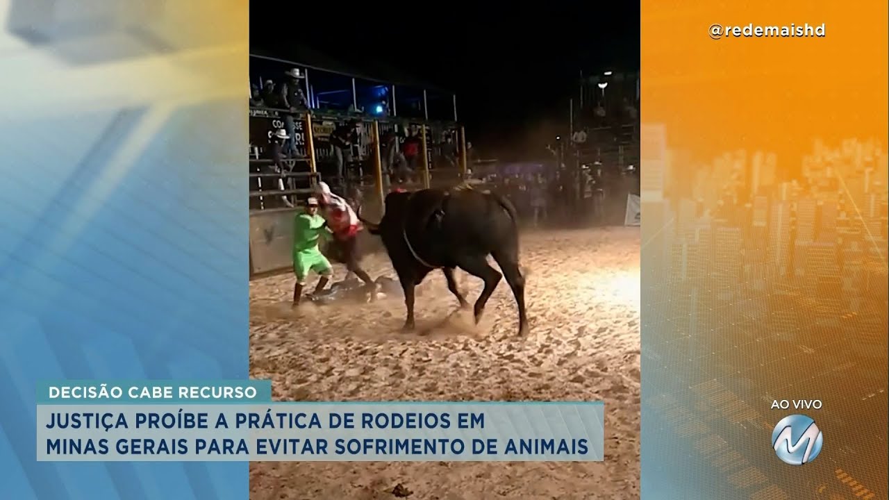 Justiça proíbe a prática de rodeios em MG para evitar sofrimento de animais