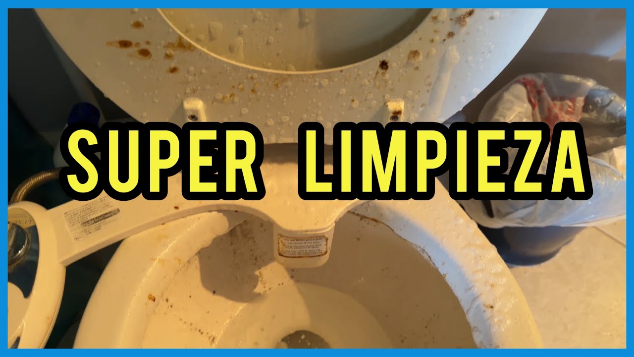 LIMPIEZA DETALLADA inodoro abanico  y toda la casa