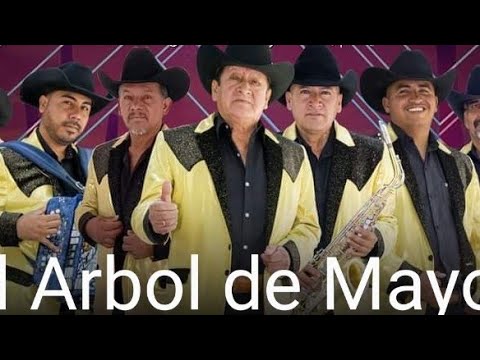 El Árbol de Mayo Los Típicos de Juan Torres - YouTube