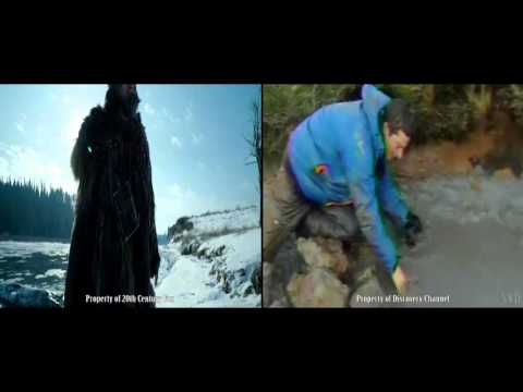 Leonardo di Caprio vs Bear Grylls