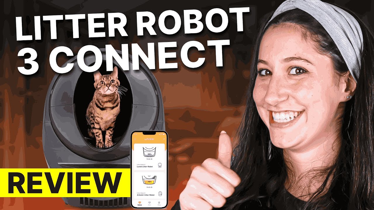 Litter Robot 3 Connect Review | Is This $500 Self Cleaning Litter Box Worth to Purchase?