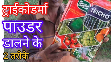 ट्राईकोडर्मा पाउडर का उपयोग कैंसे करें 🌴how to use trichoderma powder
